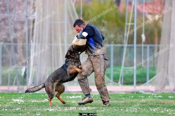 L_IMG_0420.jpg