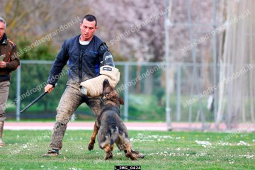L_IMG_0424.jpg