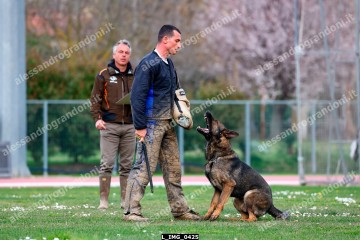 L_IMG_0425.jpg
