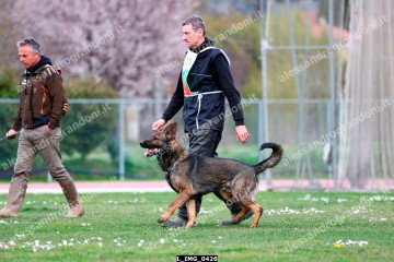 L_IMG_0426.jpg