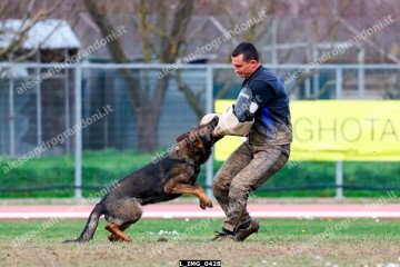 L_IMG_0428.jpg