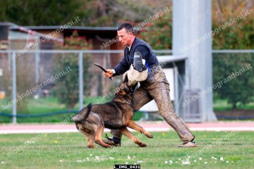 L_IMG_0431.jpg