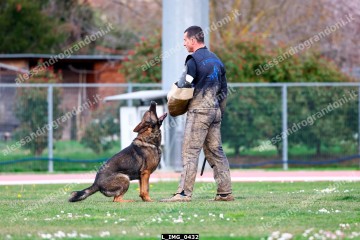 L_IMG_0432.jpg
