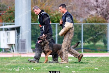 L_IMG_0434.jpg