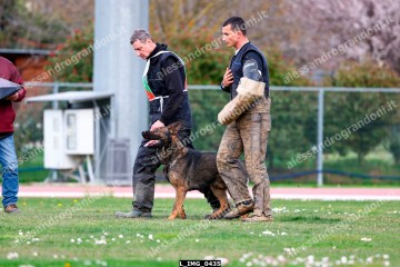 L_IMG_0435.jpg