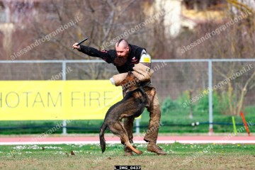 L_IMG_0437.jpg