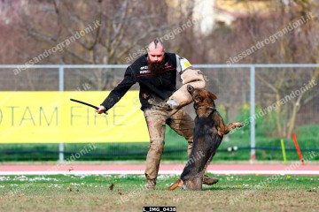 L_IMG_0438.jpg