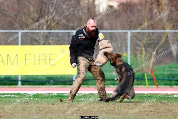 L_IMG_0439.jpg