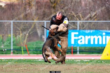 L_IMG_0441.jpg