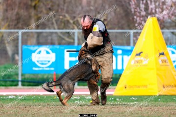 L_IMG_0442.jpg