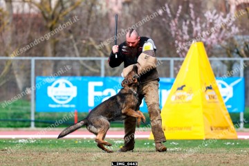 L_IMG_0443.jpg