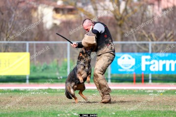 L_IMG_0450.jpg