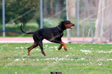 L_IMG_0452.jpg