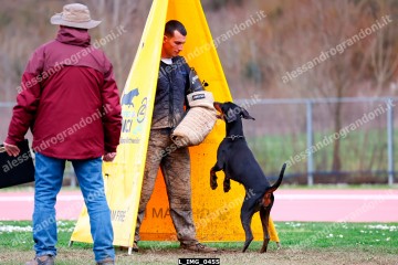 L_IMG_0455.jpg