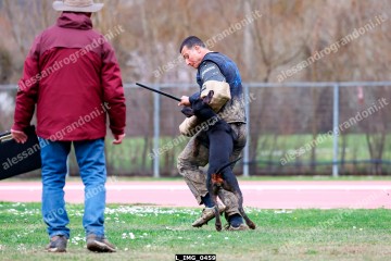 L_IMG_0459.jpg