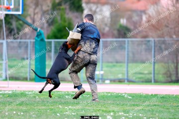 L_IMG_0461.jpg