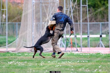 L_IMG_0462.jpg