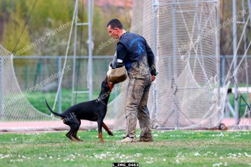 L_IMG_0463.jpg