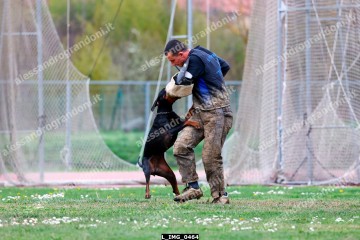 L_IMG_0464.jpg