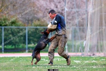 L_IMG_0466.jpg