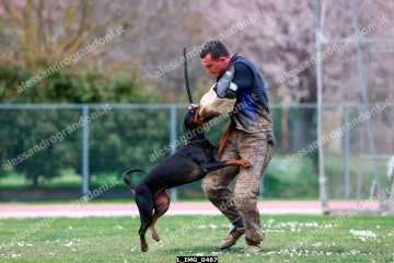 L_IMG_0467.jpg