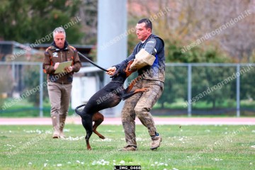 L_IMG_0468.jpg
