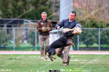 L_IMG_0469.jpg