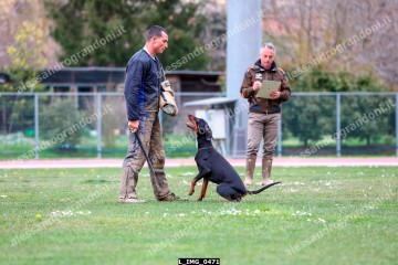 L_IMG_0471.jpg