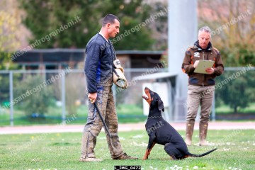 L_IMG_0472.jpg