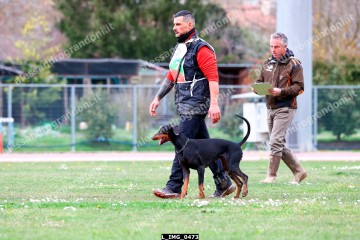 L_IMG_0473.jpg