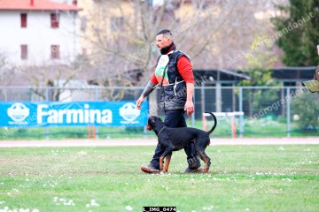 L_IMG_0474.jpg