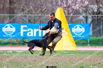 L_IMG_0479.jpg