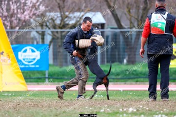 L_IMG_0480.jpg