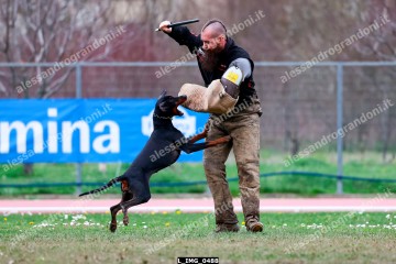 L_IMG_0488.jpg