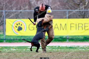 L_IMG_0497.jpg