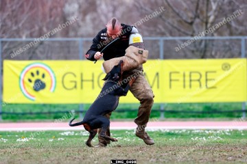 L_IMG_0498.jpg