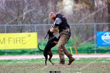 L_IMG_0504.jpg