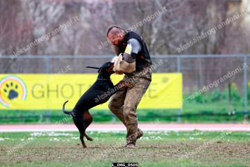 L_IMG_0505.jpg