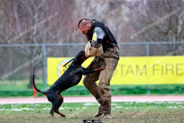 L_IMG_0507.jpg