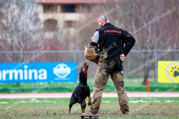 L_IMG_0510.jpg