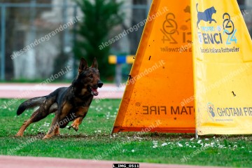 L_IMG_0511.jpg