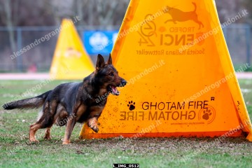 L_IMG_0512.jpg