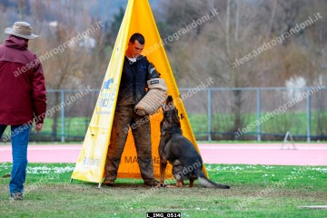 L_IMG_0514.jpg