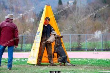 L_IMG_0515.jpg