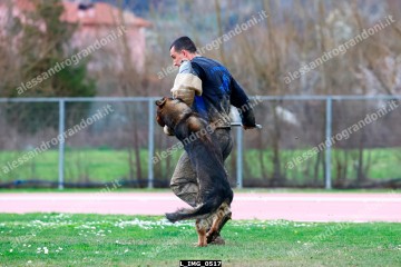 L_IMG_0517.jpg