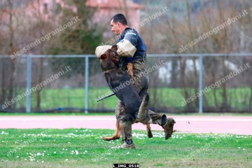 L_IMG_0518.jpg