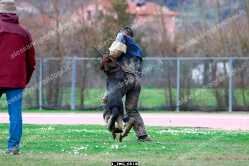 L_IMG_0519.jpg