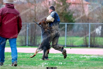 L_IMG_0520.jpg