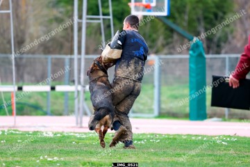 L_IMG_0521.jpg