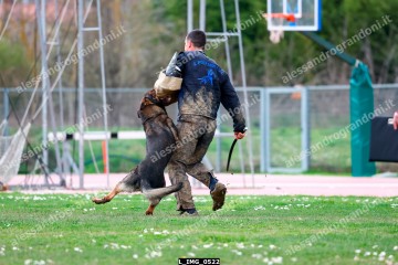 L_IMG_0522.jpg